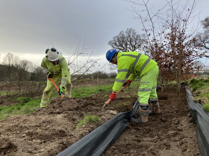 Temporary nursery for the A382 project