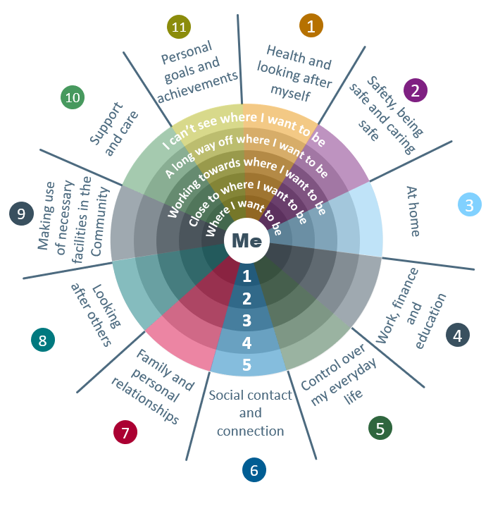 A diagram detailing carers outcomes