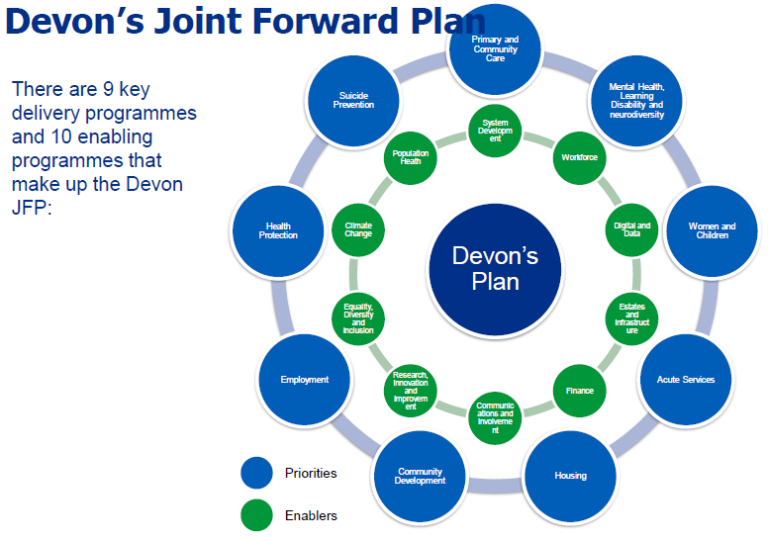 The One Devon joint forward plan, it's 9 key delivery programmes and 10 enabling programmes