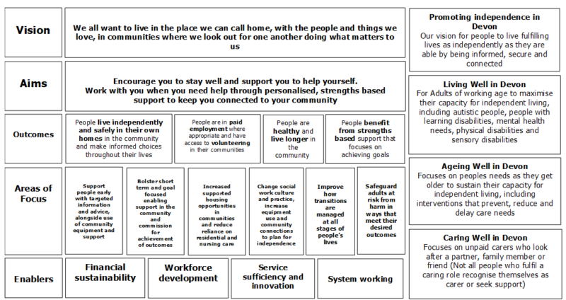 A summary of our vision and the aims, outcomes and priorities developed in our ‘Living Well in Devon’, ‘Ageing Well in Devon’ and ‘Caring Well in Devon’ strategies