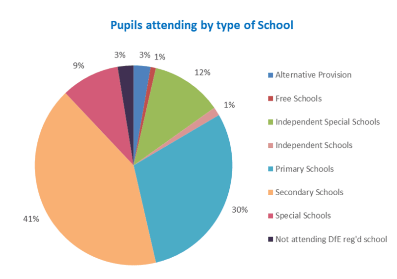 Pie chart displays numbers of pupils attending by type of school.