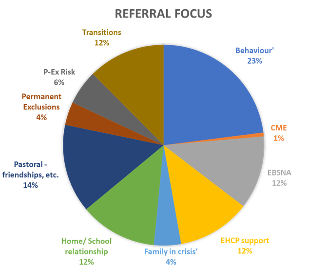Pie chart illustrating the main reasons for referrals.