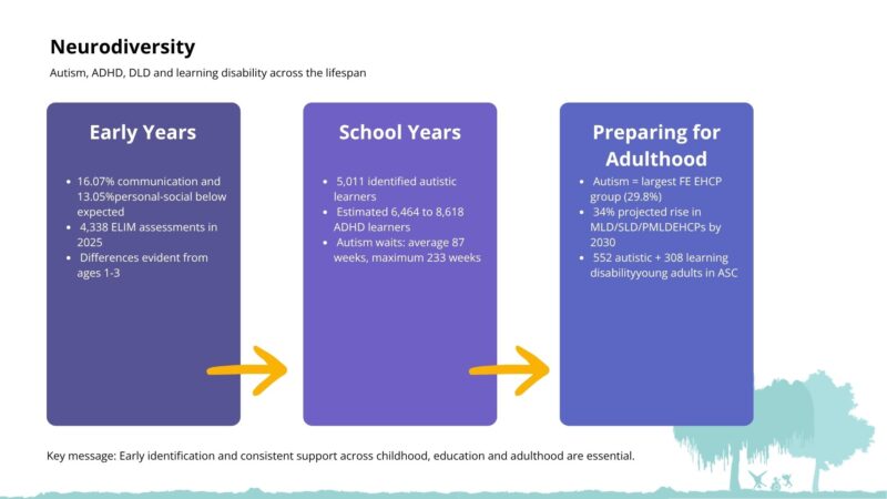 Infographic showing the neurodiversity needs across the life course. All data is replicated in the text above.