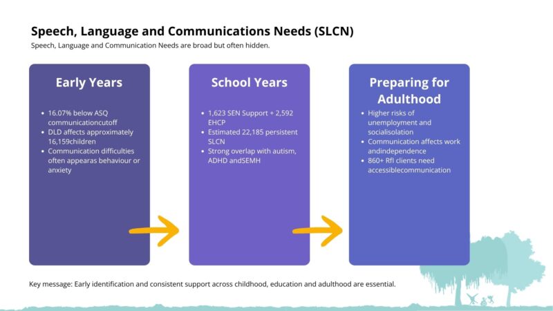 Infographic showing the SLCN needs across the life course. All data is replicated in the text above.