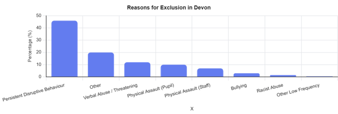 Reasons for exclusion broken down into persistent disruptive behaviour, other, verbal abuse, physical assault bullying, racist abuse and other low frequency behaviour.