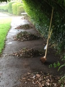 Clearing a footway in Sidmouth