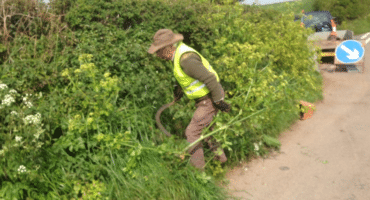 man cutting back weeds on devon country road