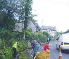 people clearing branches on side of road in Beer