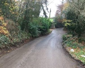 Chittlehamholt country road with hedges and trees either side