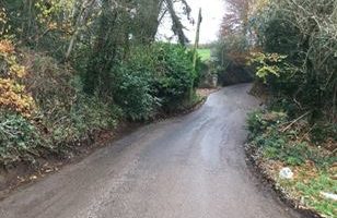 Chittlehamholt country road with hedges and trees either side