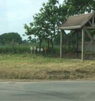 wooden shelter with seating on grass verge at side of a road