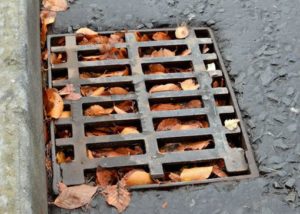 drainage cover in road full of leaves