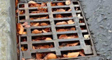 drainage cover in road full of leaves