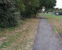 footpath along roadside with greenary and trees along the path