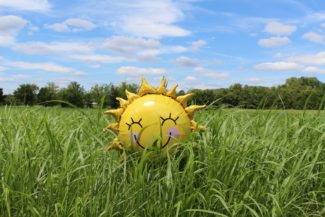 sunshine balloon in a field