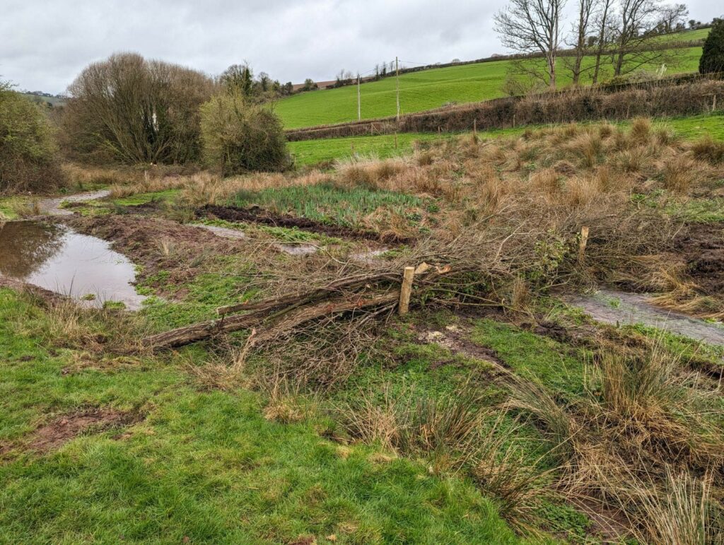 Image of a leaky dam made out out woody debris in a field with other natural flood management features such as a scrape