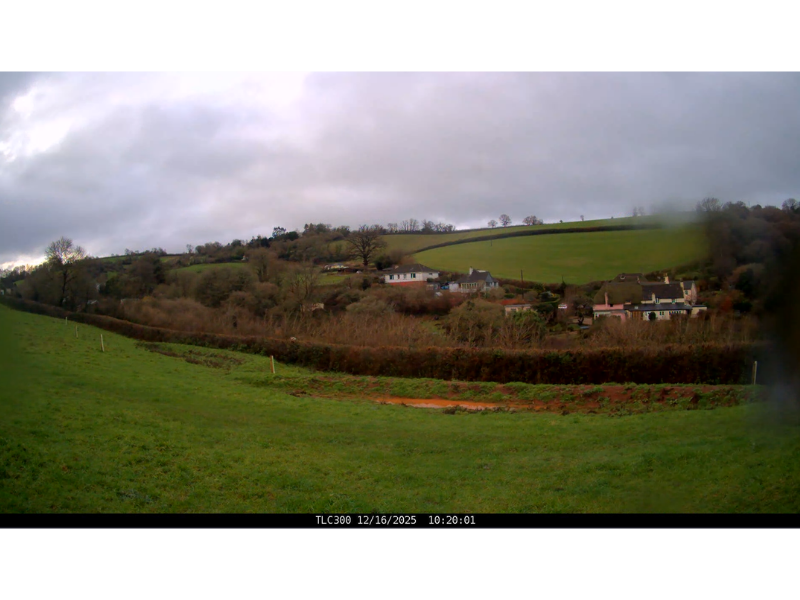 At the base of a sloped field water collects in a depression in the ground.