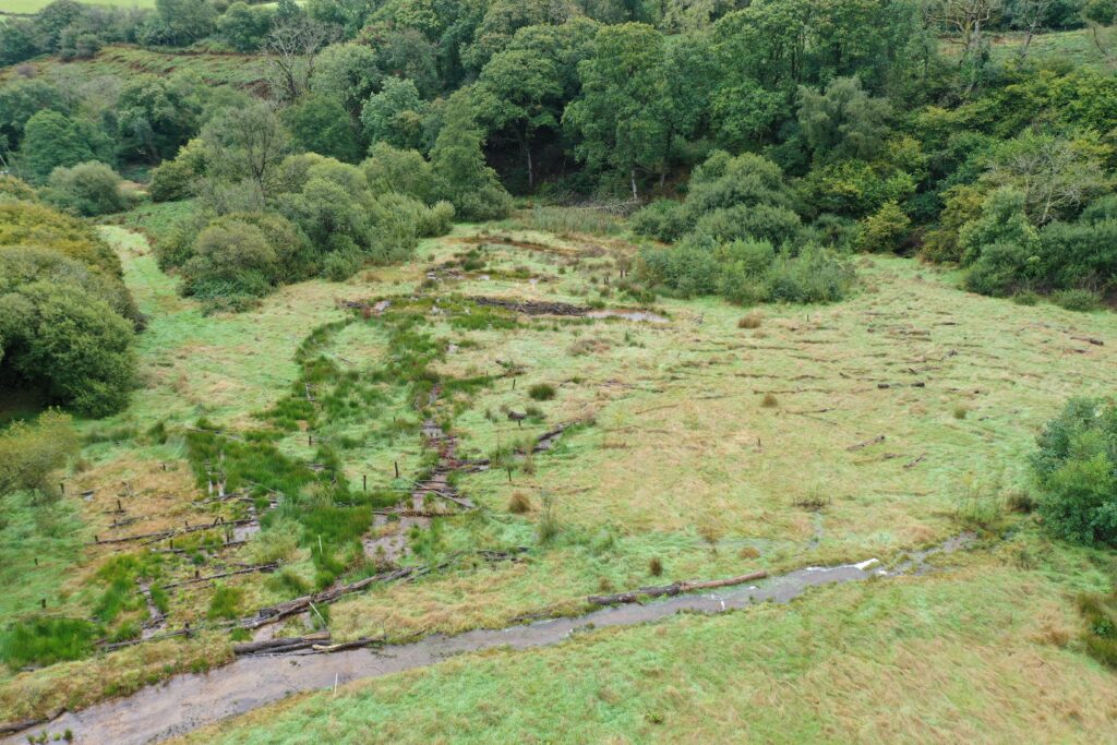 Aerial image of a river restoration scheme