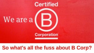 B Corp logo with the title 'So what's all the fuss about B Corp?'