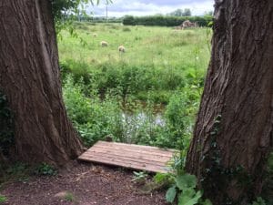 Orchard bordering a stream