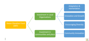 Image showing aims of DEF Fund