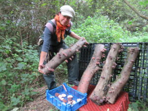 Sara holding a log grown mushroom on a trailer in the woods