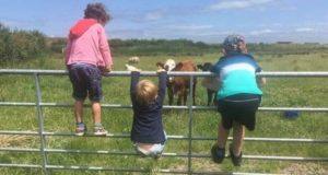 3 children playing on a gate in the countryside