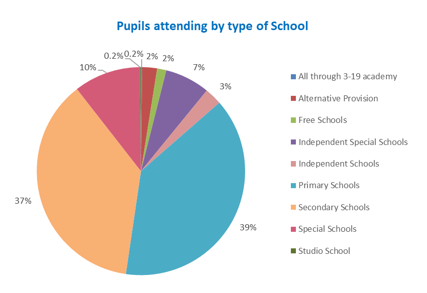 Pie chart showing pupils attending by type of school 