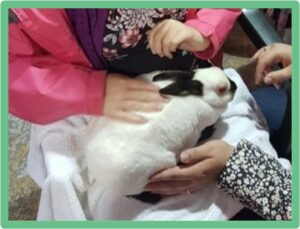 Young person holding a rabbit