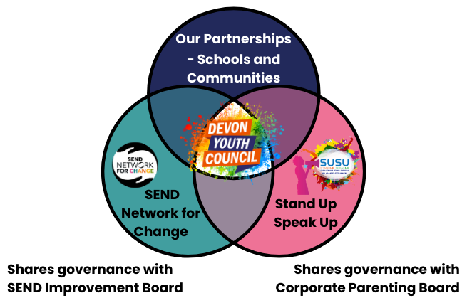 A Venn diagram showing the structure of youth participation in Devon.