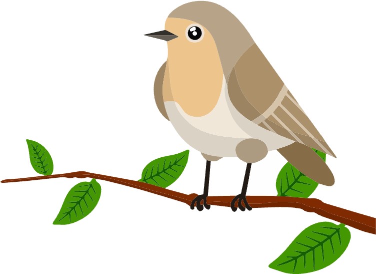 Graphic image of robin on branch
