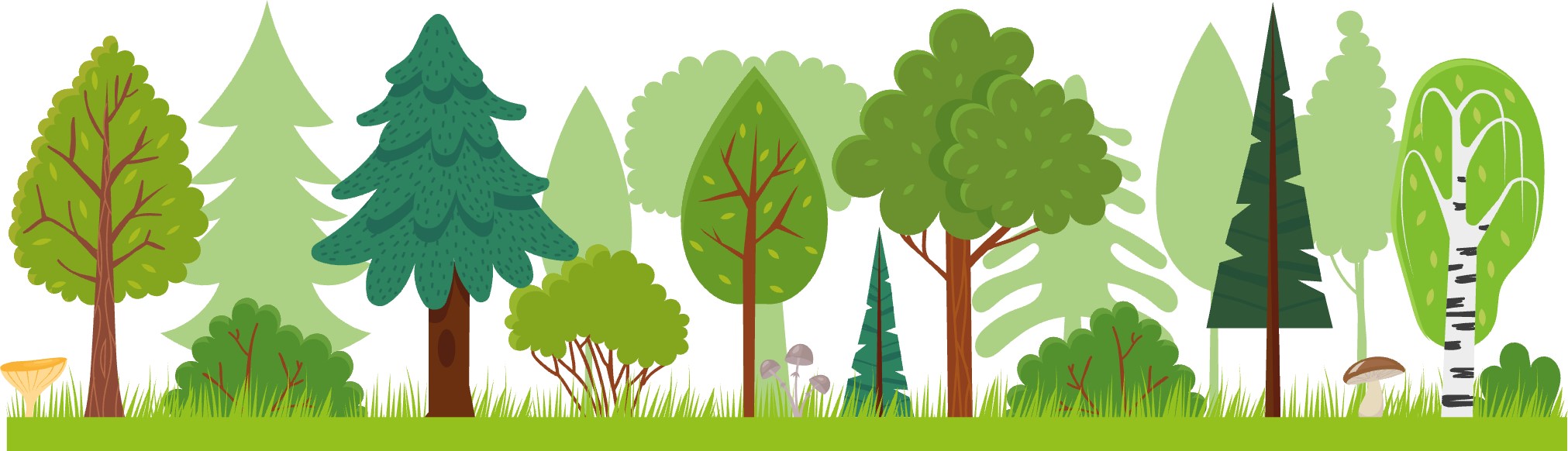 Graphic image of trees, shrubs and grass.