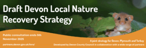 Banner with a picture of a dormouse surrounded by green leaves with an orange bottom section of the banner. The text states that the LNRS public consultation is now live, and will end on the 5th November. It is a joint strategy for Devon, Torbay and Plymouth.