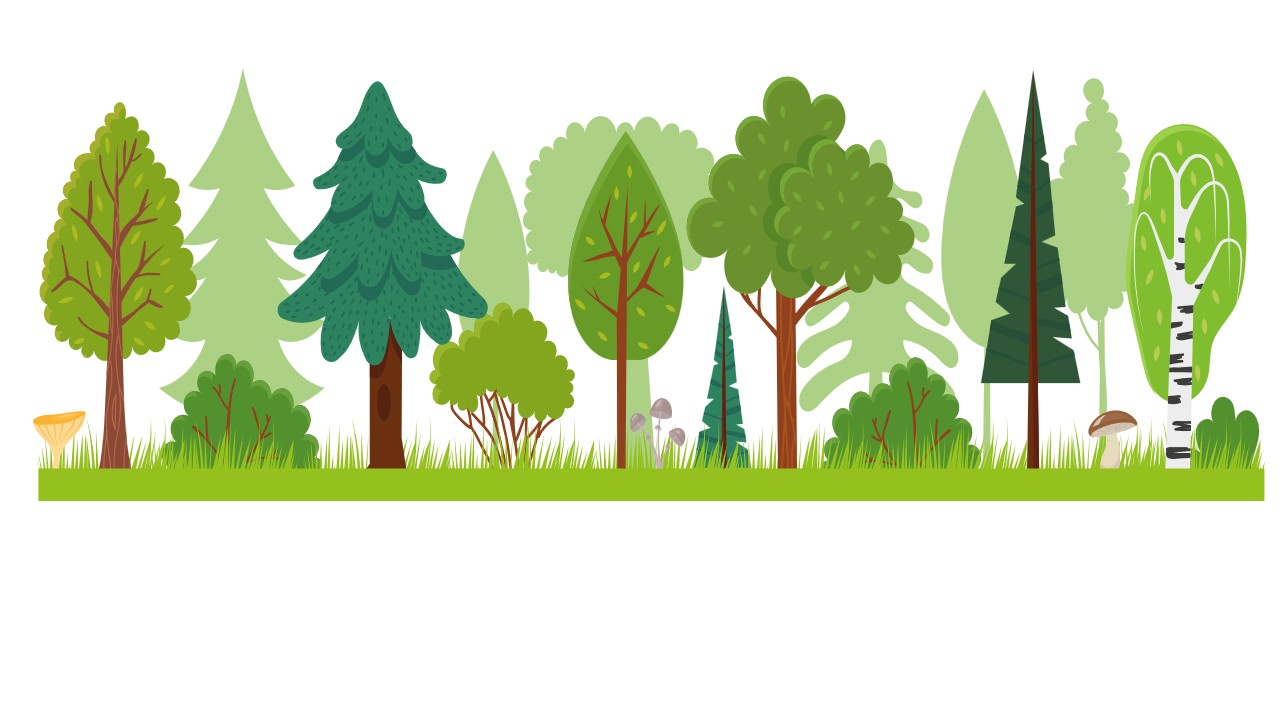 Tree graphic image of various tree species in a line with shrub layer and grass