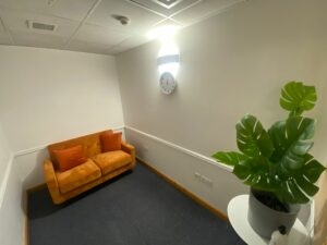 A picture of a room with white walls and a navy carpet. There is a white round clock on the wall to the right, and a leafy green plant on a white table. At the far end of the room is a comfy orange sofa with two seats.