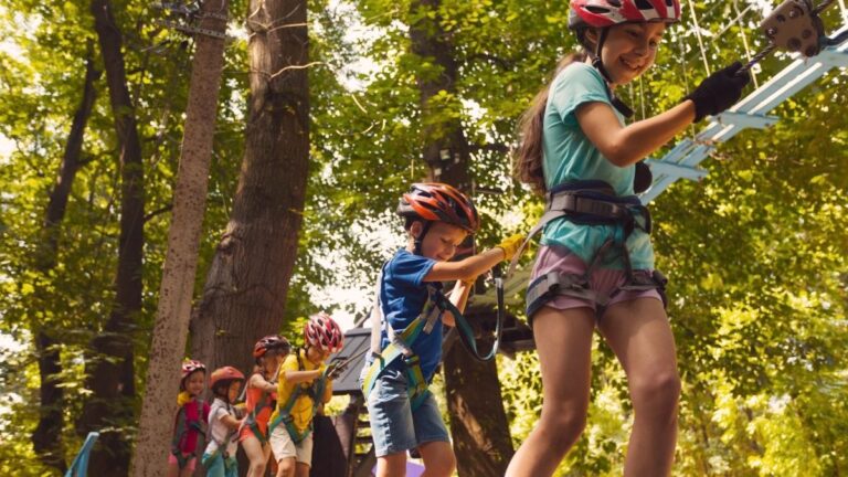 Tree top climbing