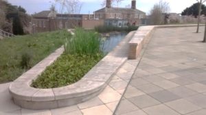 A well planted attenuation pond at Exeter University