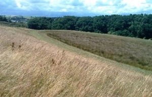Photo of a field in Okehampton that has sustainable drainage 