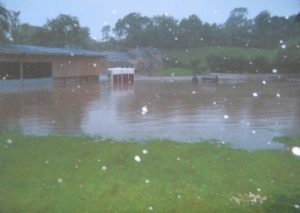 Flooding in Ludbrook