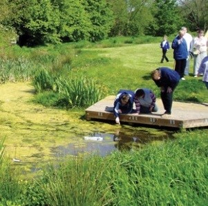 Photo of attenuation pond and wetlands