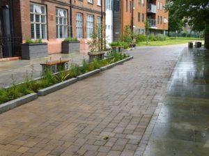 Photo of rain garden