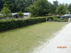 Photo of reinforced permeable surface used in car park