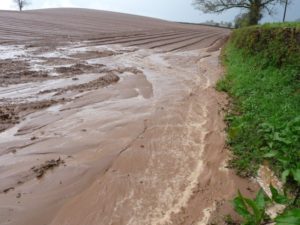 Photo showing a field with surface water runoff