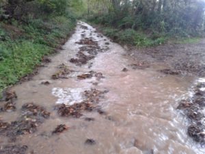 Photo showinf surface water flooding on Wilderness Lane