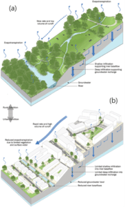 Diagram of SuDS components 