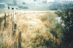 Bank is stabilised by the growth of vegetation, fencing is used to restrict access and the vegetation growth is enhanced by tree planting at the top of the bank and willows at the toe. 