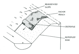 schematic of geotextile installation to encourage growth.