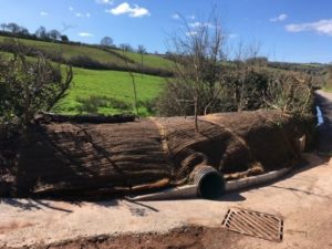 Photo of buddle holes installed in Stokeinteignhead