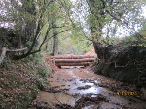 Photo of leaky dams in Ugborough