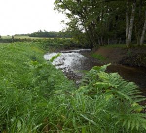 A photo of river restoration